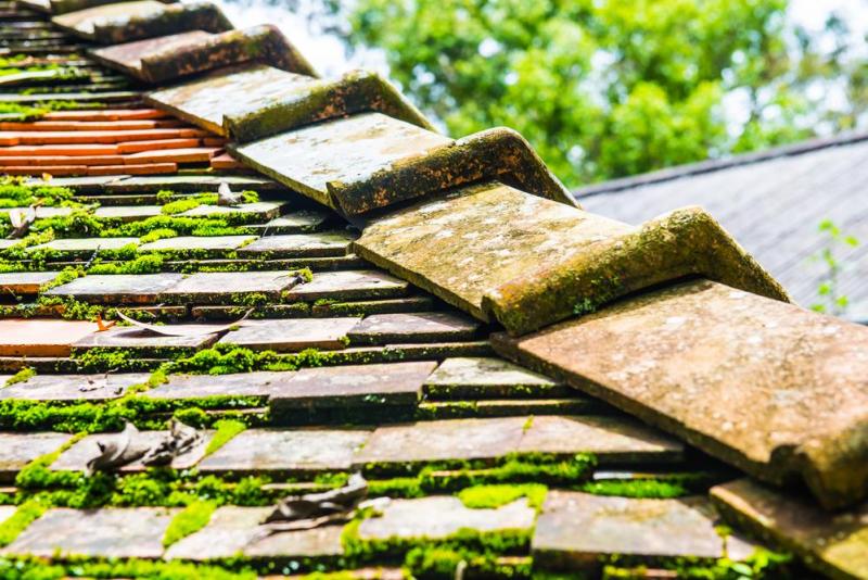 Entretien de toiture &agrave; Illzach, les gestes pr&eacute;ventifs essentiels